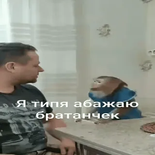 🐵 Я типя абажаю братанчек mono, animal, amigo, amor whatsapp sticker