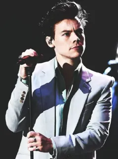 💸 Harry Styles Harry Styles, chanteur, artiste, musicien, célébrité, pop star, entertainer telegram sticker
