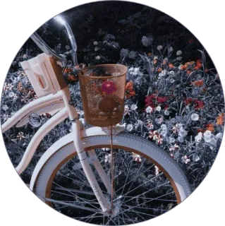 🏹 bicycle, flowers, bike, basket, nature, vintage, floral telegram sticker