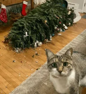 🤩 cat, christmas tree, holiday, decoration, pet, funny, mischief telegram sticker