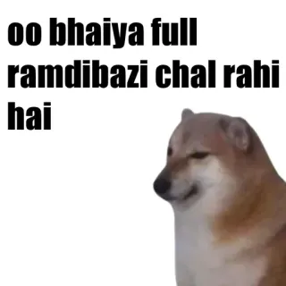 🎭 oo bhaiya full ramdibazi chal rahi hai 개, 밈, ramdibazi telegram sticker