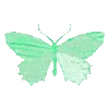 💚