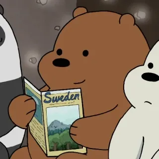 🦄 Sweden 熊, 卡通, 旅行, 瑞典, 阅读 telegram sticker