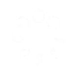 🩸