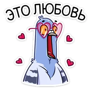 😍 ЭТО ЛЮБОВЬ bird, pigeon, love, heart, glasses, cartoon telegram sticker