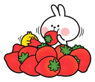 🍓 coelho, coelhinho, morangos, fofo, fruta, pintinho, desenho animado telegram sticker