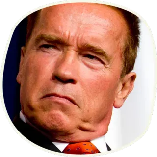 🤔 Arnold Schwarzenegger Arnold Schwarzenegger, ator, político, celebridade telegram sticker