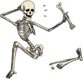 🤕 โครงกระดูก, กระดูก, กายวิภาคศาสตร์, ตลก, การ์ตูน telegram sticker