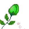 🌹