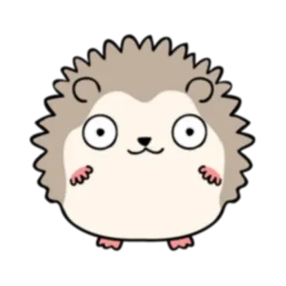 👀 erizo, animal, dibujos animados, lindo, pegatina telegram sticker