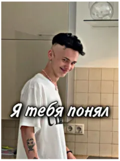 😉 Я тебя понял russian, phrase, text, i understand you telegram sticker