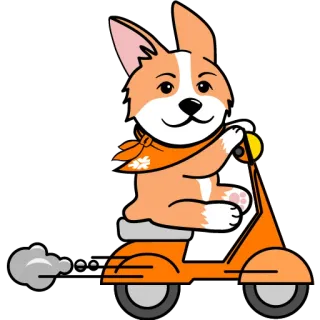 🚑 corgi, cane, scooter, animale, carino, cartone animato telegram sticker