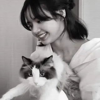 🐱 여자, 고양이, 애완 동물, 미소, 행복한, 흑백 telegram sticker