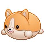 🎁 corgi, chien, animal, animal de compagnie, mignon, dessin animé, kawaii whatsapp sticker