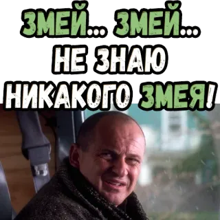 🤔 ЗМЕЙ... ЗМЕЙ... НЕ ЗНАЮ НИКАКОГО ЗМЕЯ! ruso, texto, expresión, cita whatsapp sticker