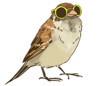 😎 птица, воробей, солнцезащитные очки, животное, мультфильм whatsapp sticker