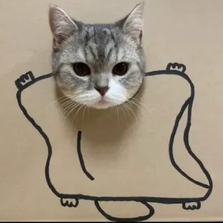 😒 kucing, binatang, lucu, hewan peliharaan, lucu, gambar telegram sticker