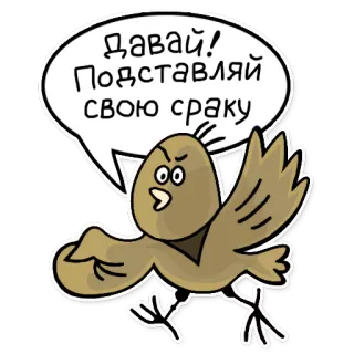 👊 Давай! Подставляй свою сраку uccello, cartone animato, insulto, offensivo telegram sticker