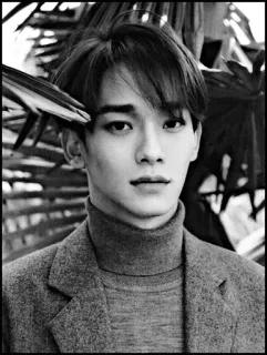 🇮🇸 Chen k-pop, cantante, exo, ritratto, maschio, idolo, celebrità telegram sticker