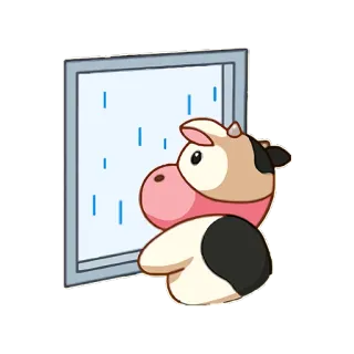 👩‍👦 krowa, deszcz, okno, zwierzę, słodki, naklejka telegram sticker