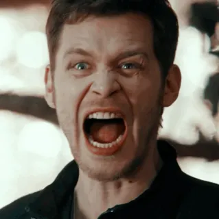 🥐 Klaus Mikaelson The Vampire Diaries vampire diaries, klaus mikaelson, colère, crier, série tv telegram sticker