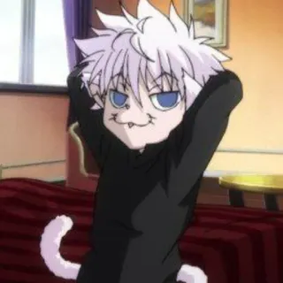 😸 Killua Zoldyck Hunter x Hunter Anime, Katze, Killua, Hunter, HunterxHunter telegram sticker
