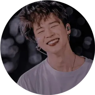 😁 Jimin Jimin, BTS, K-pop, zanger, idool whatsapp sticker
