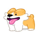 😝 Hund, Corgi, Tier, Haustier, Cartoon, Süß telegram sticker