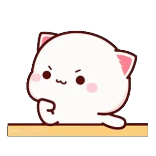 🤨 猫, 可爱, 动物, 表情符号, 卡通 whatsapp sticker