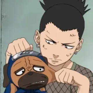 😬 Shikamaru Nara Naruto アニメ, キャラクター, 犬, ヘッドバンド, 忍者 telegram sticker