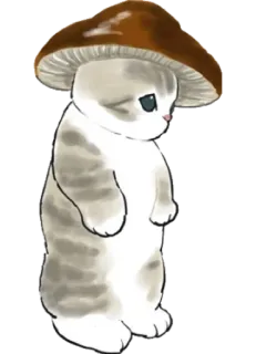 🍄 gato, cogumelo, fofo, animal, triste, ilustração telegram sticker