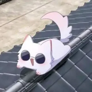 🧊 kot, okulary przeciwsłoneczne, słodki, zwierzę, naklejka whatsapp sticker
