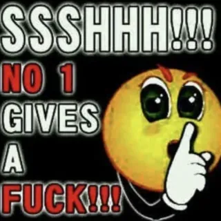 🤫 SSSHHH!!! NO 1 GIVES A FUCK!!! emoji, shhh, silence, no one cares, offensive, meme, internet slang whatsapp sticker