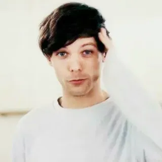 🤗 Louis Tomlinson musicien, chanteur, célébrité, portrait, homme, personne telegram sticker