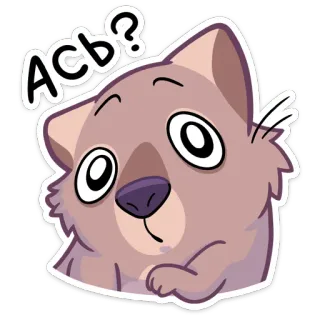 🤨 Асв? wombat, fofo, desenho animado, animal, pergunta telegram sticker