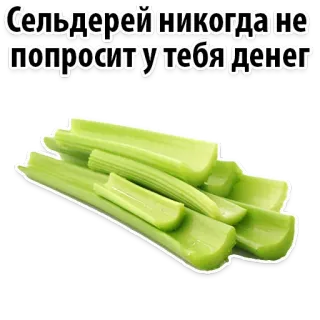👌 Сельдерей никогда не попросит у тебя денег aipo, vegetal, comida, saudável, piada, engraçado telegram sticker
