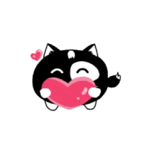 ❤ gato, corazón, amor, pegatina, animal telegram sticker