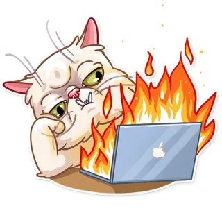 🔥 gato, fuego, portátil, enojado, frustrado, meme, estresado telegram sticker