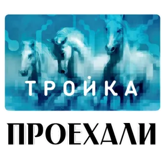 Stickers With Horses @stickersb2b whatsapp stickers