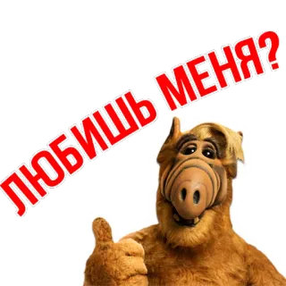❤️ ALF ЛЮБИШЬ МЕНЯ? ALF, Alienígena, Série de TV, Anos 80, Polegar para cima telegram sticker