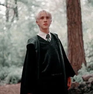 🪐 Draco Malfoy Harry Potter Draco Malfoy, Harry Potter, Slytherin, Mago, Estudante, Tom Felton telegram sticker