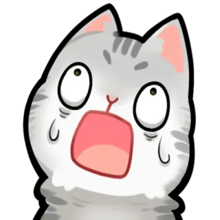 😱 grey cat telegram sticker