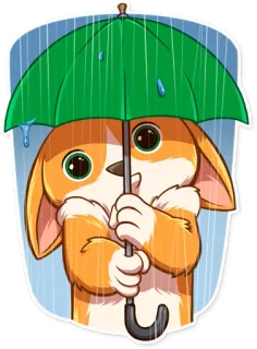 ☔ perro, corgi, paraguas, lluvia, lindo, mascota, animal whatsapp sticker
