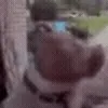 🤨