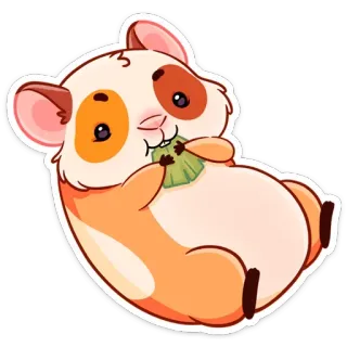 😊 หนูตะเภา, สัตว์, น่ารัก, สัตว์เลี้ยง, สัตว์ฟันแทะ, สติกเกอร์ telegram sticker