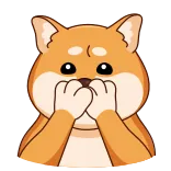 Shiba Inu whatsapp stickers