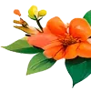 💐