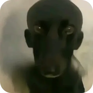 Больше стиков тут: @stikery4 whatsapp stickers