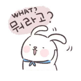 🐰 WHAT?
뭐라고? conejo, lindo, pregunta, dibujos animados, pegatina whatsapp sticker