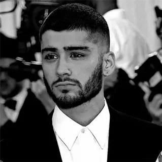 ▪️ Zayn Malik zayn malik, ca sĩ, người nổi tiếng, trắng đen, chân dung telegram sticker